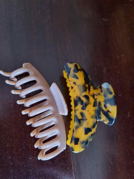 Photo of free Hair clips (SE20) #1
