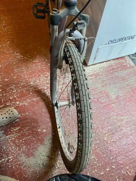 Photo of free Bike (Mill Lane crowborough TN6) #2