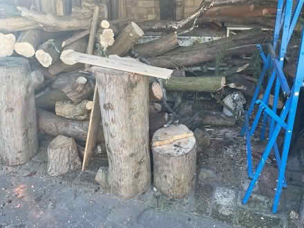 Photo of free Firewood (Letchworth SG6) #1