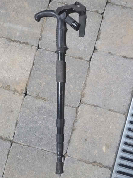 Photo of free Hiking stick with torch (Chester CH1) #1