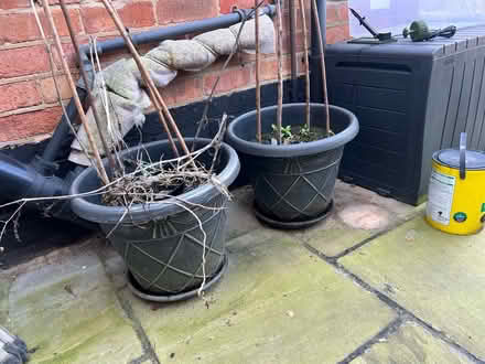 Photo of free Large garden pots (West Bridgford NG2) #2