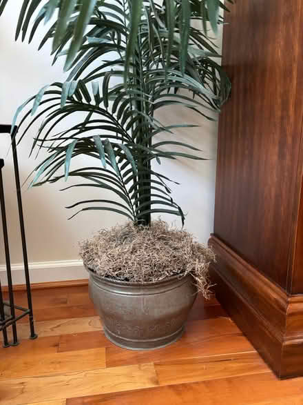 Photo of free Artificial palm plant (Perry Hall, Maryland) #2