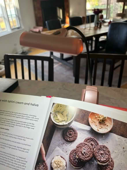 Photo of free Itty Bitty Book Light (Evanston, near Penny Park) #2