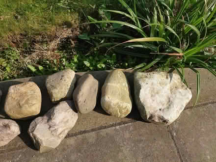 Photo of free Rockery Stones (Offerton SK2) #3