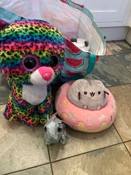 Photo of free Bag of cuddles (Northlands Wood) #2