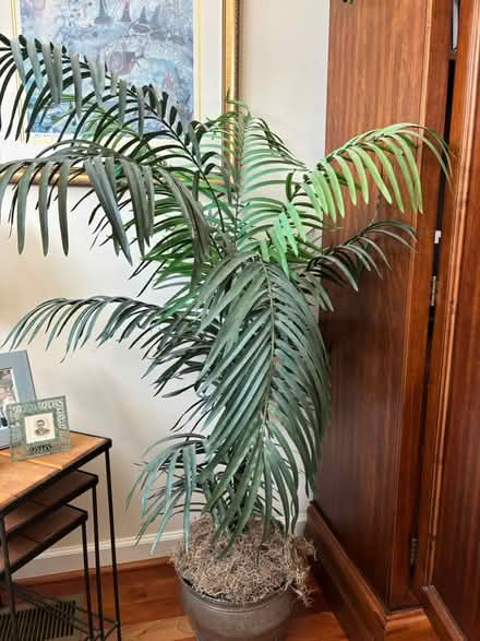 Photo of free Artificial palm plant (Perry Hall, Maryland) #1