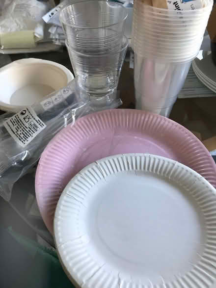 Photo of free Paper plates, picnic items (New England Quarter BN1) #1