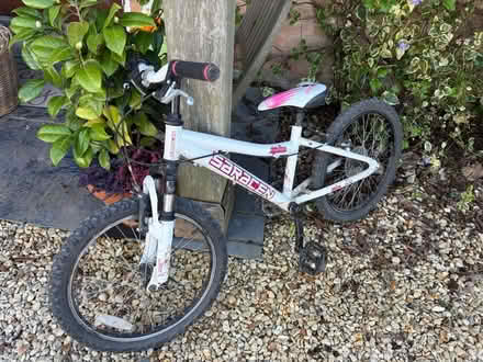 Photo of free Child’s bike (North of Romsey SO20) #1