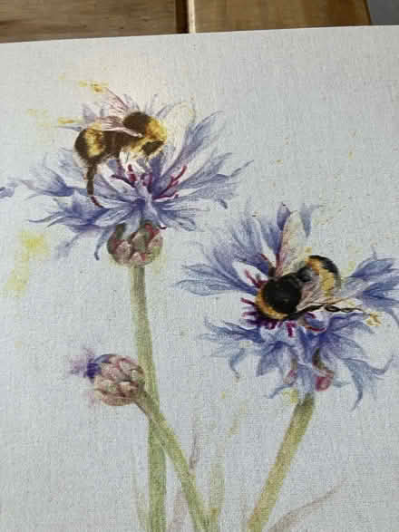 Photo of free Bee themed pictures 🐝 (Waddon) #3