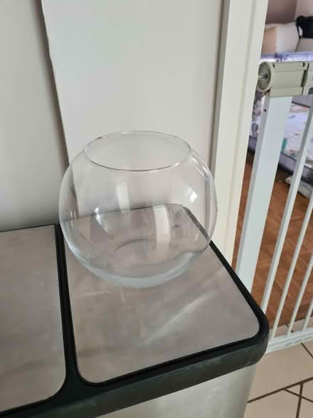 Photo of free Vase (Welwyn Garden City AL7) #1