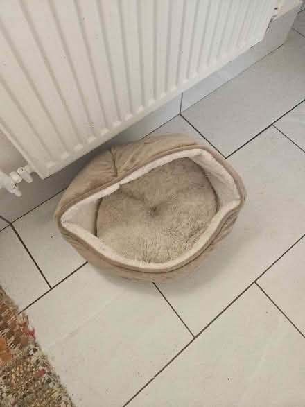 Photo of free Cat bed (Oxford OX4) #1