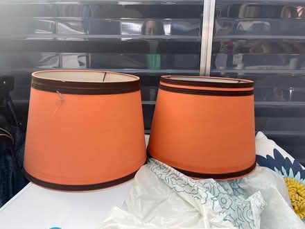 Photo of free Vintage lampshades (Oradell) #1