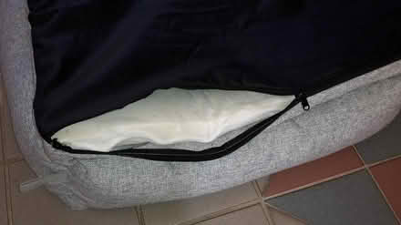 Photo of free Pet Lounger "Popocola" Brand (Queenstown, near MRT) #4