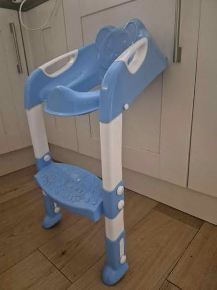 Photo of free Toddler toilet step and seat (Bath, BA1) #2