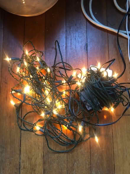 Photo of free Christmas lights (Liphook GU30) #2