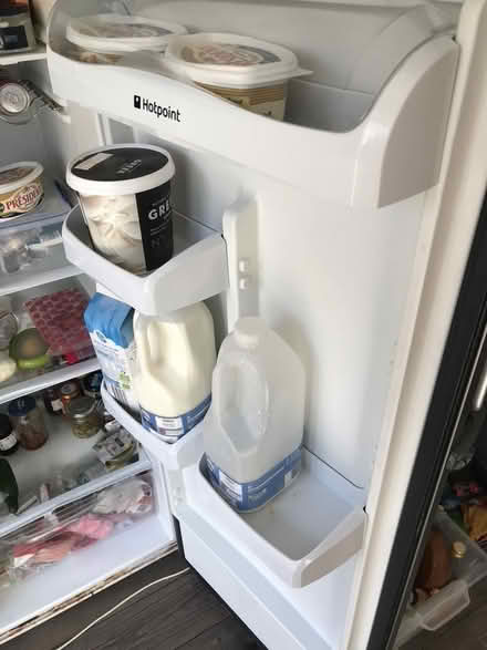 Photo of free Tall Larder Fridge (Cholsey OX10) #3