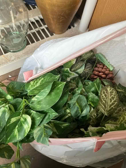Photo of free Faux greenery (Oradell) #1