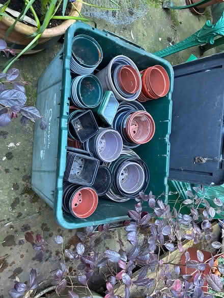 Photo of free Plant pots of various sizes (Wood Green N22) #1