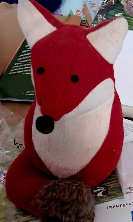 Photo of free Fox doorstop (Allington NG32) #2