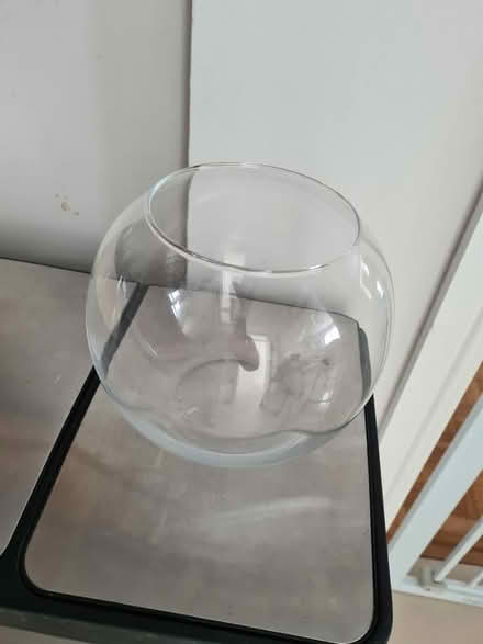 Photo of free Vase (Welwyn Garden City AL7) #2