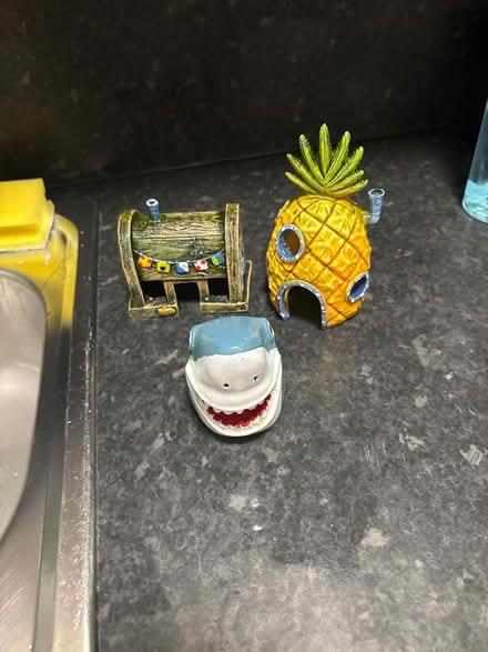 Photo of free Fish tank (Morecambe) #3