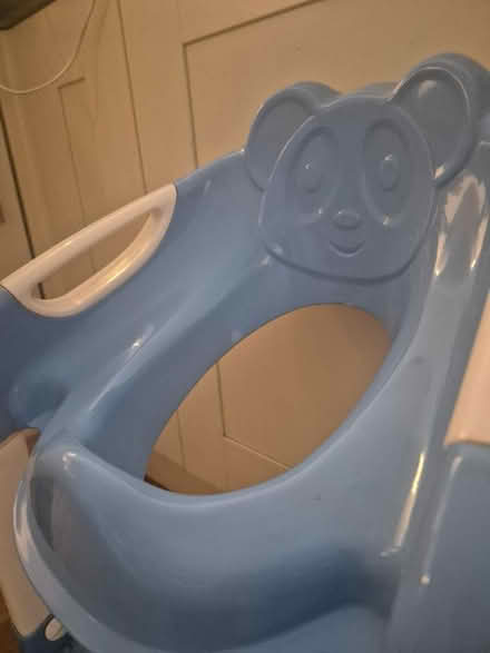 Photo of free Toddler toilet step and seat (Bath, BA1) #4