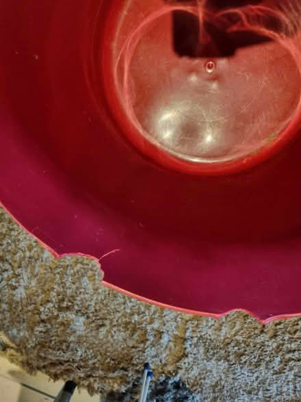 Photo of free Large buckets (SE20) #2