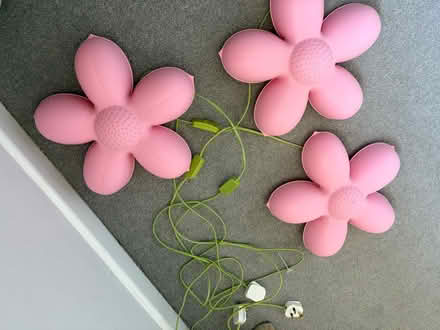 Photo of free Fun flower lights (North of Romsey SO20) #1