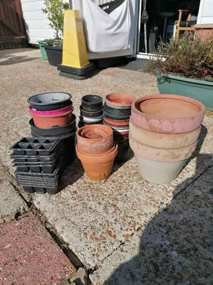 Photo of free Plant pots. (Langney BN23) #1