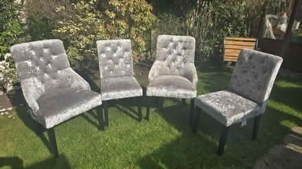 Photo of free NEXT- 4 x Crushed velvet chairs (M23 Manchester) #1