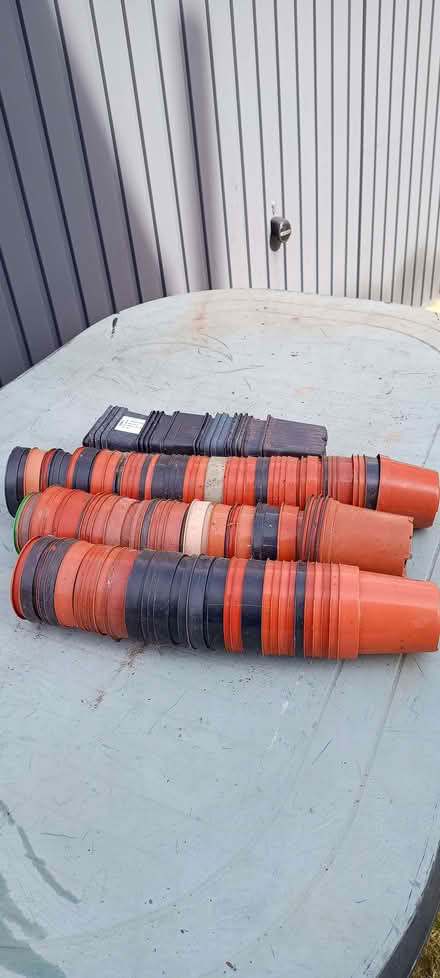 Photo of free 9 cm Plastic Plant Pots (Thornhill CF14) #1