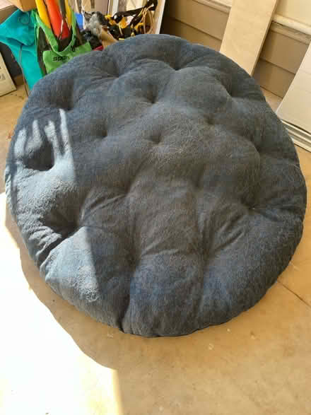 Photo of free Big dog bed (Kings park west) #1