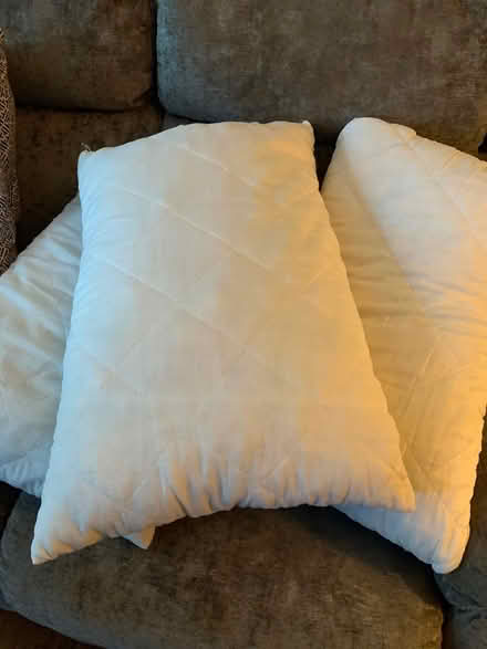 Photo of free Chipped foam filled pillows (Charlton) #1