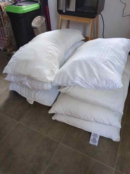 Photo of free Pillows (Southhouse EH17) #1