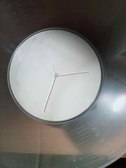 Photo of free Kitchen scale (Sharow S11) #2