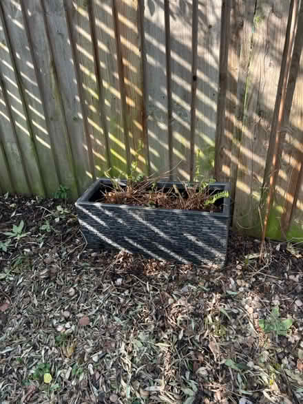 Photo of free Garden pots (3) (West Bridgford NG2) #3