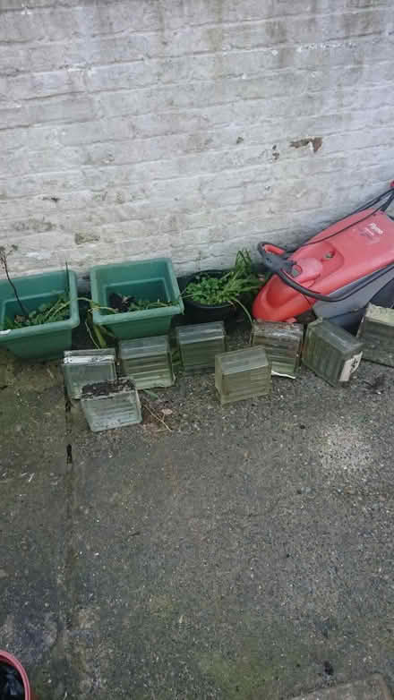 Photo of free 8 glass bricks (CT11) #1