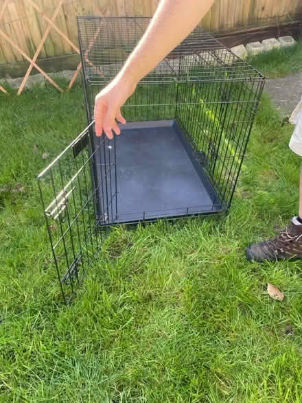 Photo of free Medium sized animal crate (Bracknell RG12) #3
