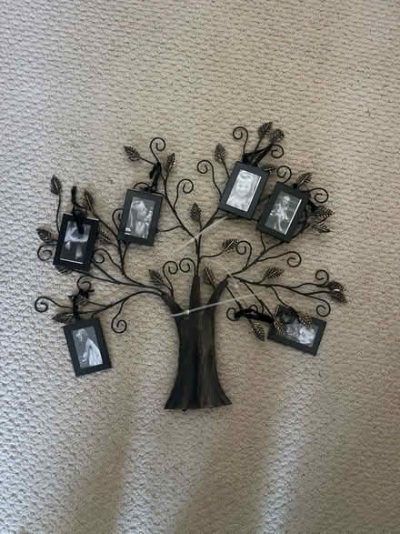 Photo of free Tree decoration for little pics (East End Alameda) #1