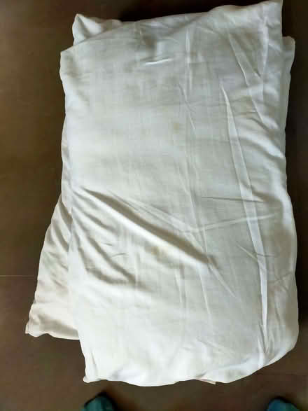 Photo of free 3 pillows (Gobowen SY11) #1