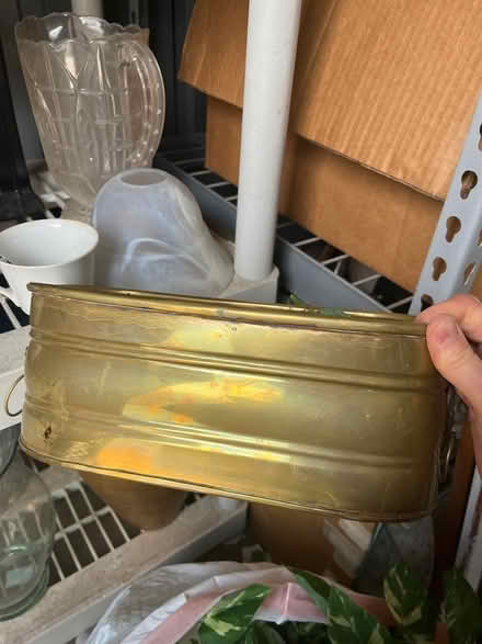 Photo of free Faux greenery (Oradell) #3