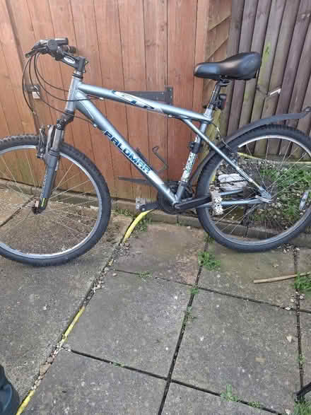 Photo of free Mountain Bike (IP1) #1