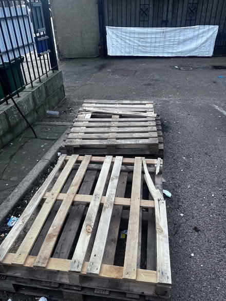 Photo of free 4 pallets (AB11) #1
