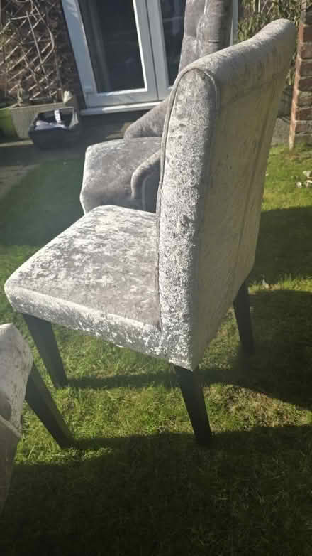 Photo of free NEXT- 4 x Crushed velvet chairs (M23 Manchester) #2