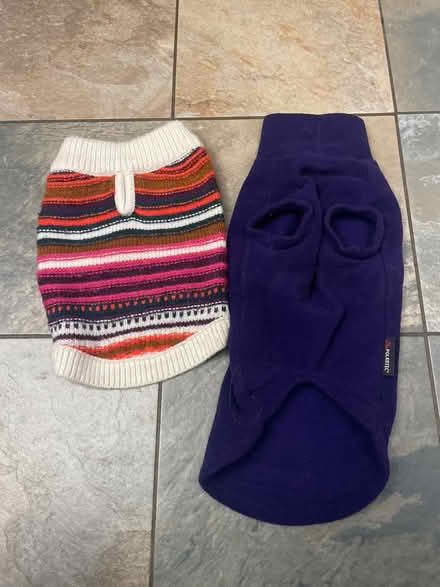 Photo of free Dog jumpers (Northlands Wood) #2