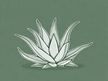 Photo of free Aloe vera plants (Walton ST15) #1