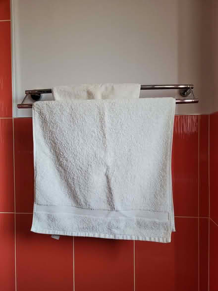 Photo of free Towel rail (Walderslade ME5) #2