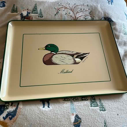 Photo of free Trays (Lexington Center) #3