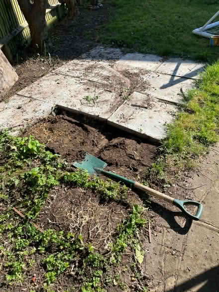 Photo of free Paving slabs x12 (LE15, Bisbrooke) #1