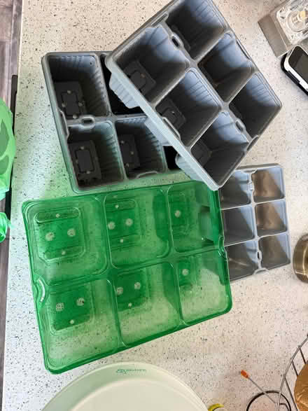 Photo of free Plastic Plant Trays (Matlock DE4) #1